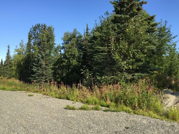 63727 Oil Well Rd, Ninilchik, AK 99639